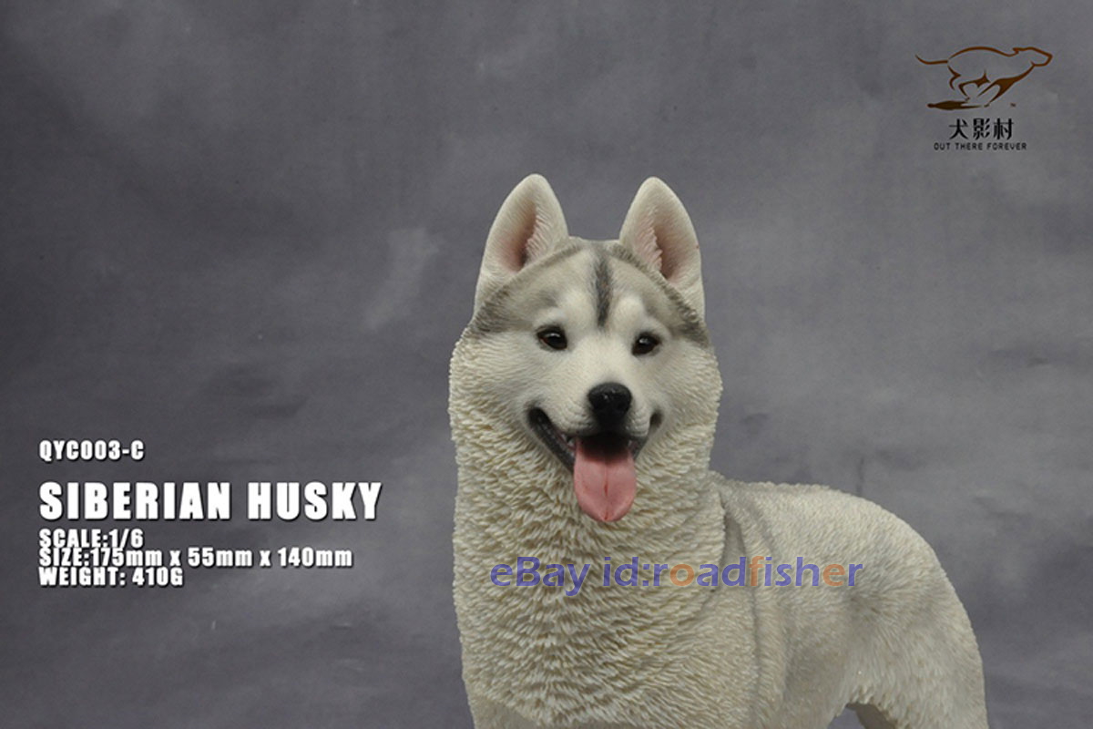 OUT THERE FOREVER 1/6 Modelo Husky Siberiano Animal Perro Coleccionista Decoración Pintado - Imagen 36 de 47