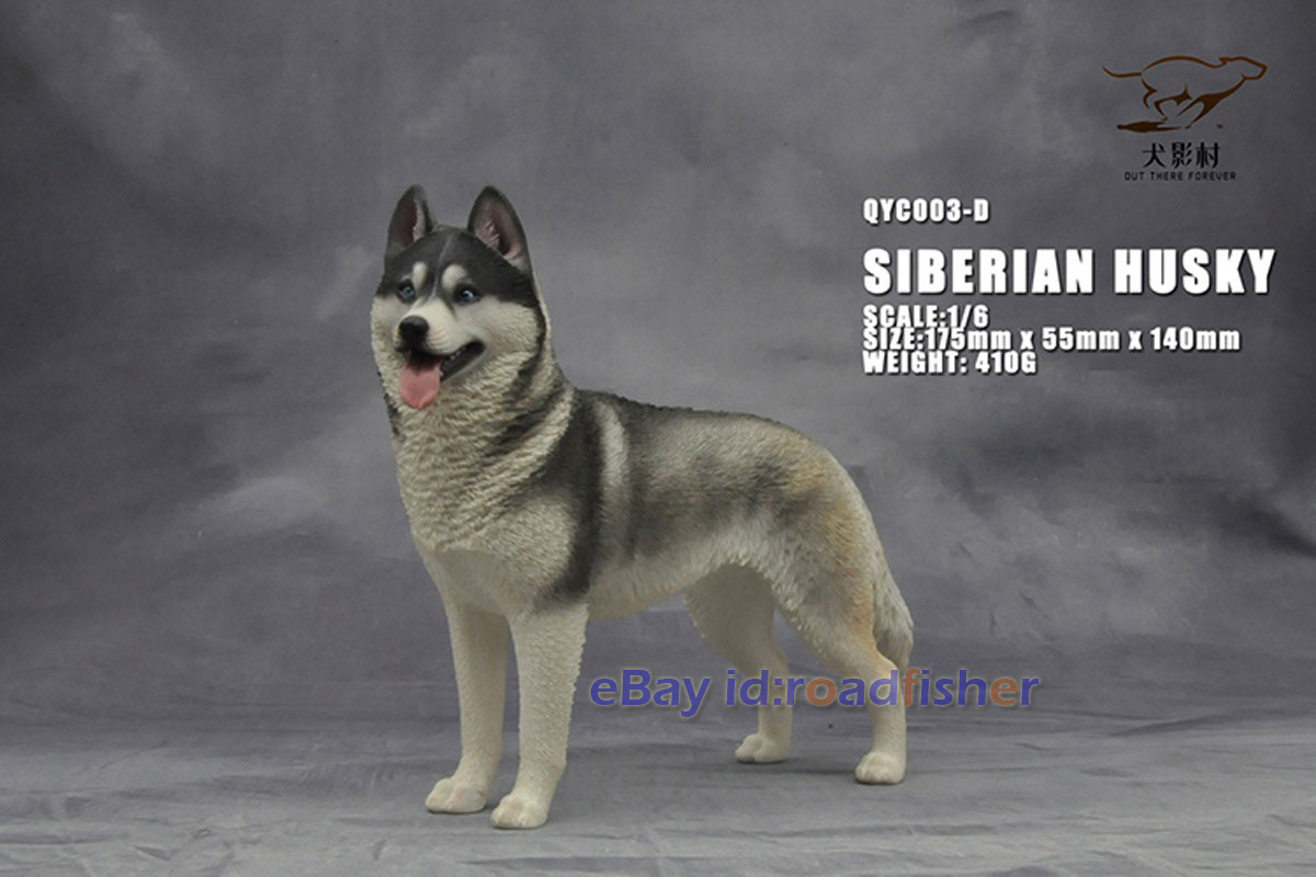 OUT THERE FOREVER 1/6 Modelo Husky Siberiano Animal Perro Coleccionista Decoración Pintado - Imagen 39 de 47