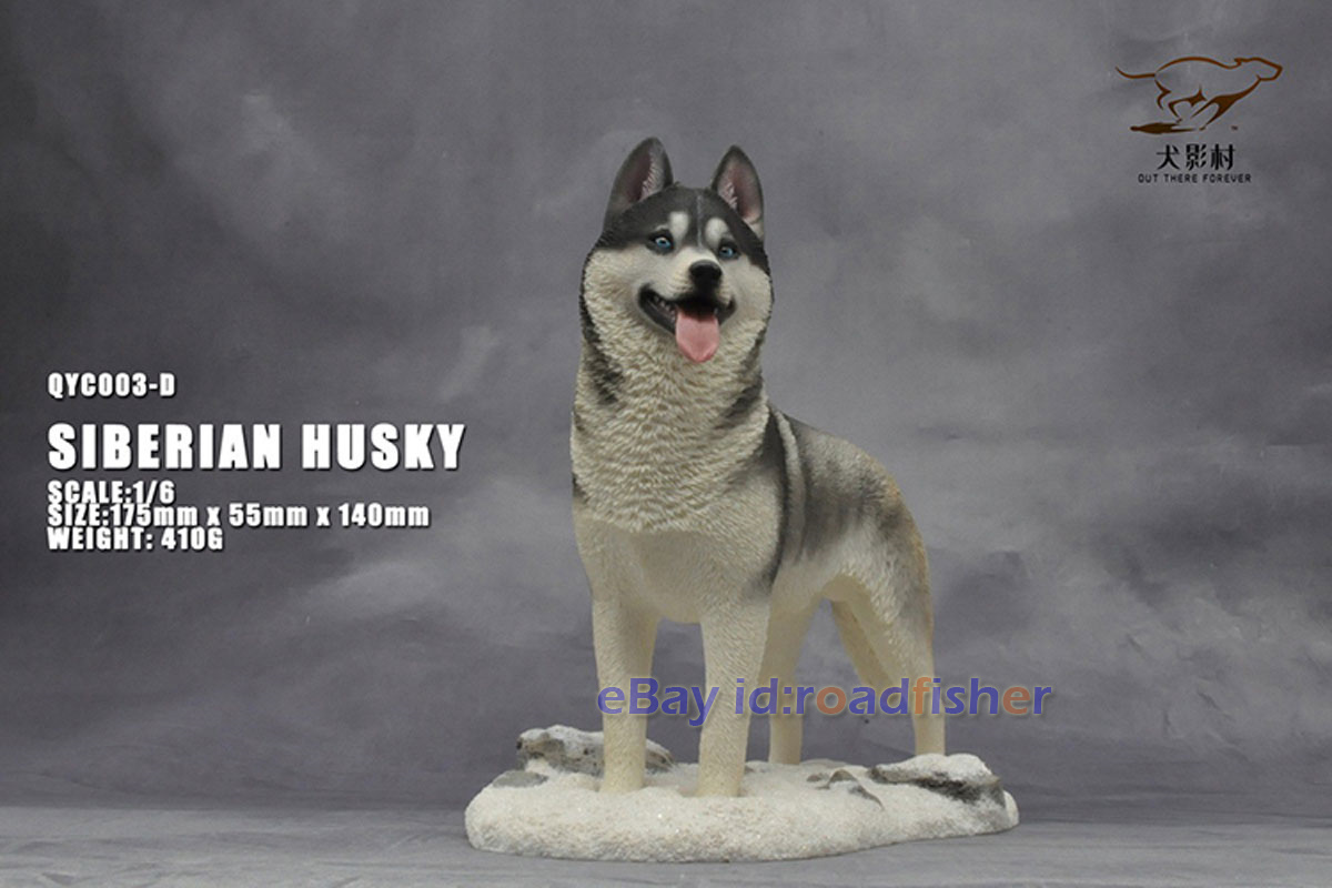 OUT THERE FOREVER 1/6 Modelo Husky Siberiano Animal Perro Coleccionista Decoración Pintado - Imagen 40 de 47