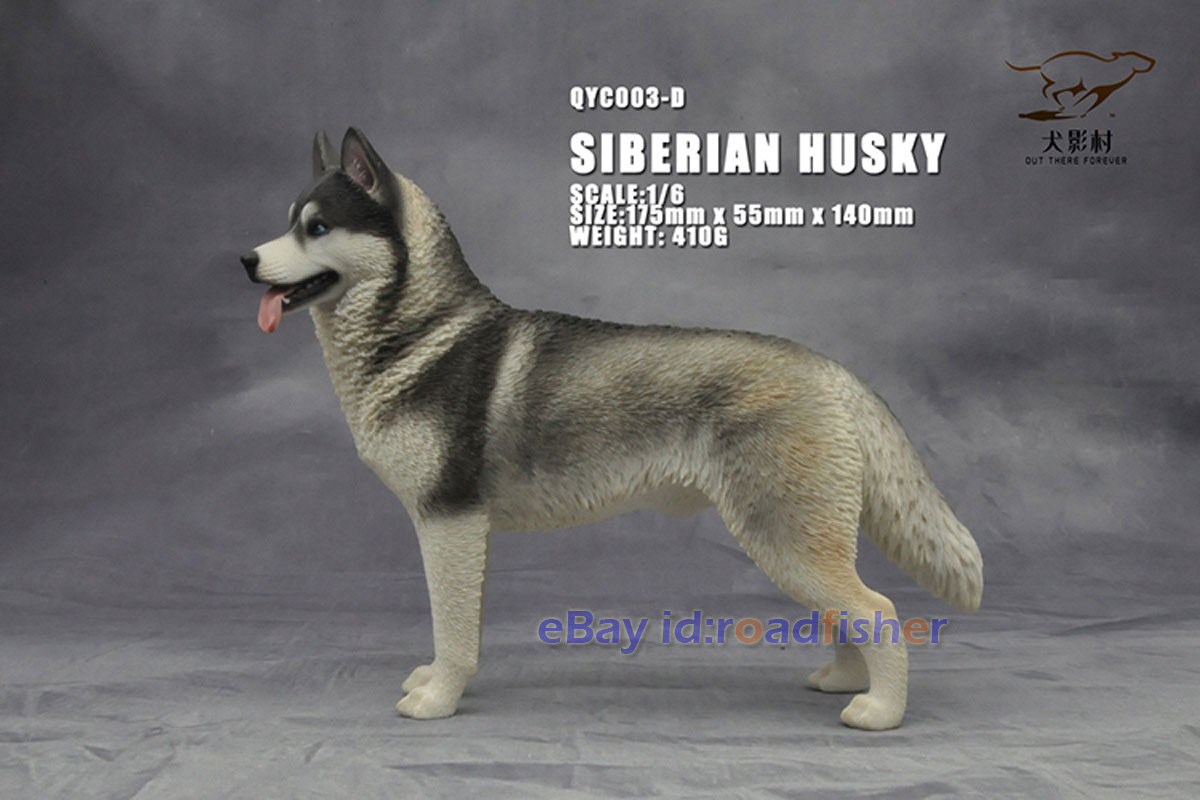 OUT THERE FOREVER 1/6 Modelo Husky Siberiano Animal Perro Coleccionista Decoración Pintado - Imagen 42 de 47