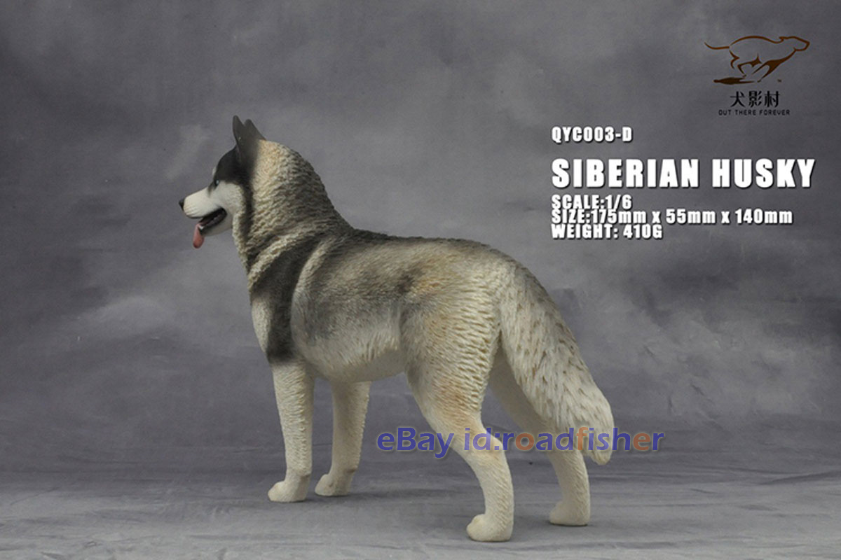 OUT THERE FOREVER 1/6 Modelo Husky Siberiano Animal Perro Coleccionista Decoración Pintado - Imagen 41 de 47