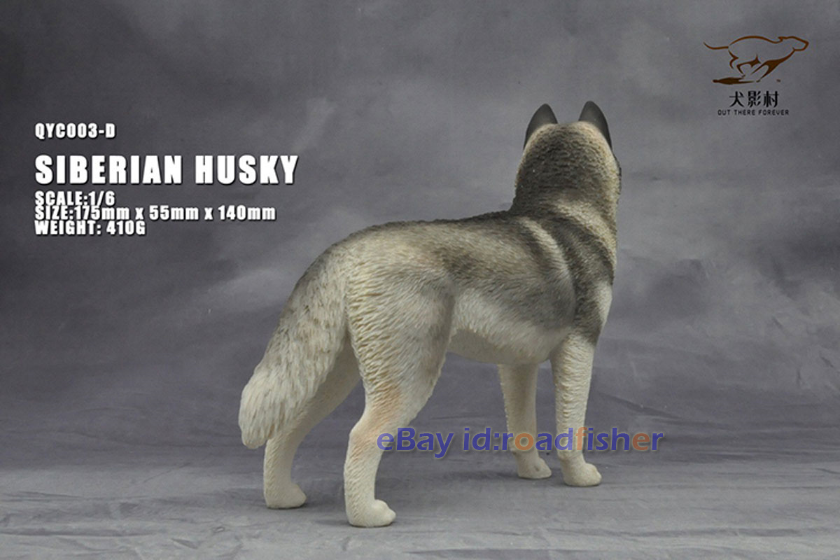 OUT THERE FOREVER 1/6 Modelo Husky Siberiano Animal Perro Coleccionista Decoración Pintado - Imagen 43 de 47