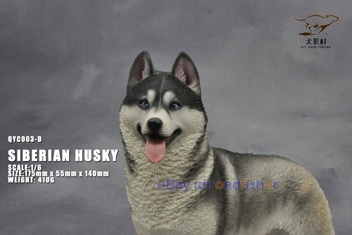OUT THERE FOREVER 1/6 Modelo Husky Siberiano Animal Perro Coleccionista Decoración Pintado - Imagen 45 de 47