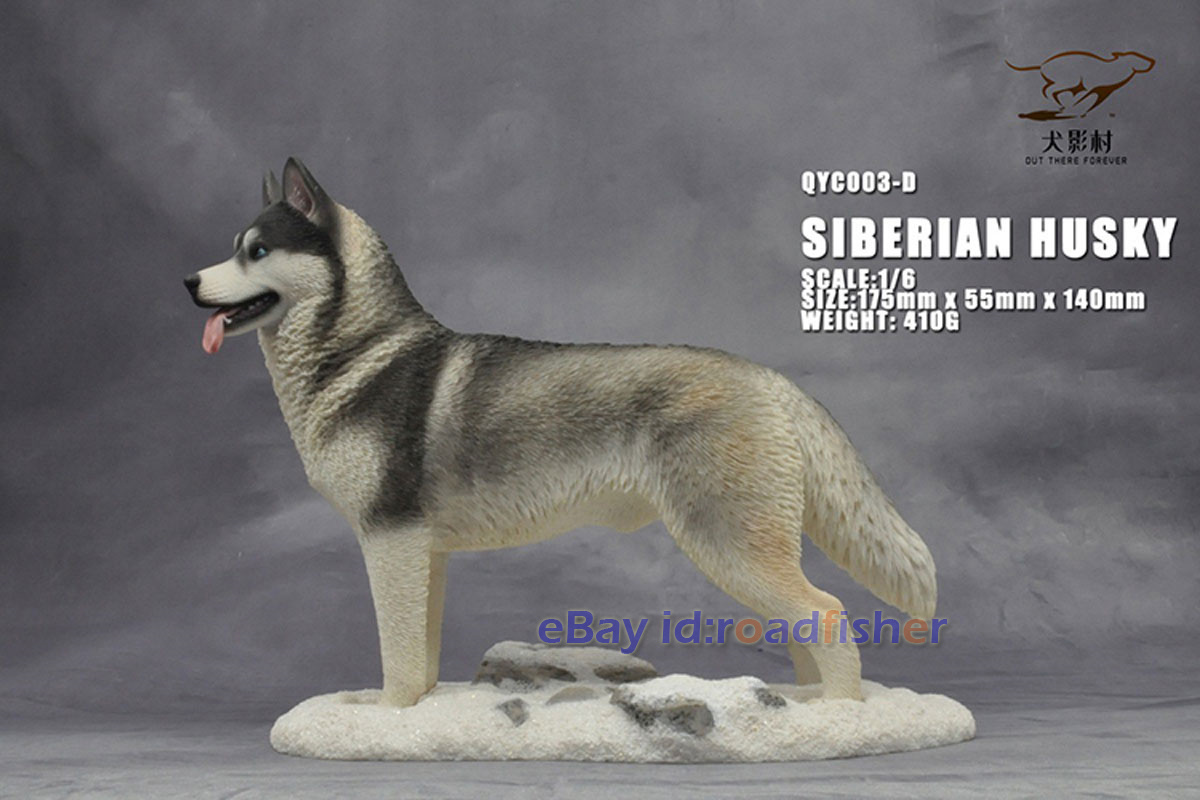 OUT THERE FOREVER 1/6 Modelo Husky Siberiano Animal Perro Coleccionista Decoración Pintado - Imagen 47 de 47