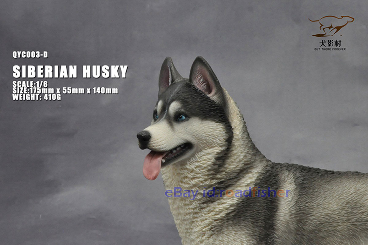 OUT THERE FOREVER 1/6 Modelo Husky Siberiano Animal Perro Coleccionista Decoración Pintado - Imagen 46 de 47