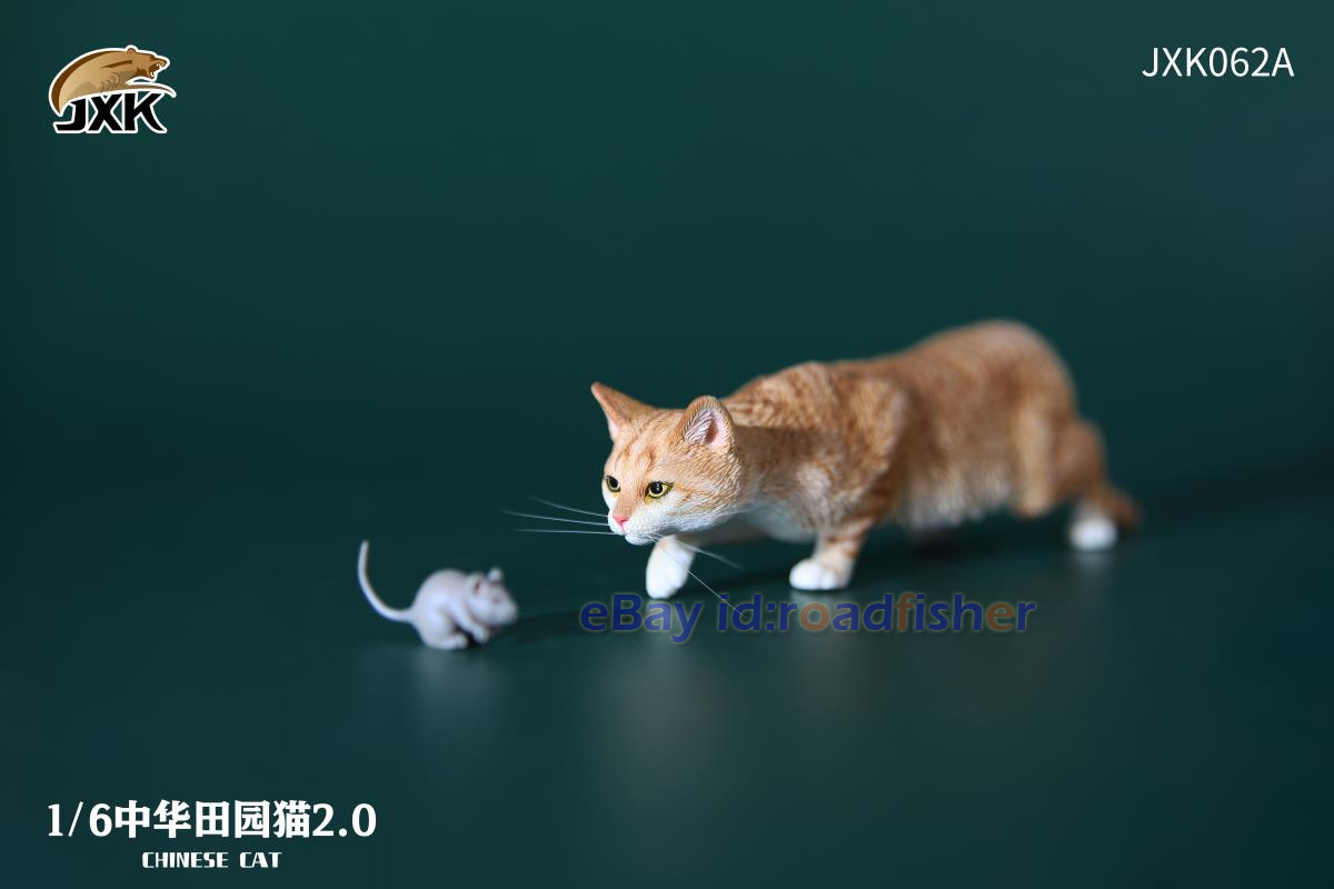 JXK 1/6 Jardín Chino Gato 2.0 Figura Felis Catus Modelo Coleccionista Decoración Pintada - Imagen 18 de 21