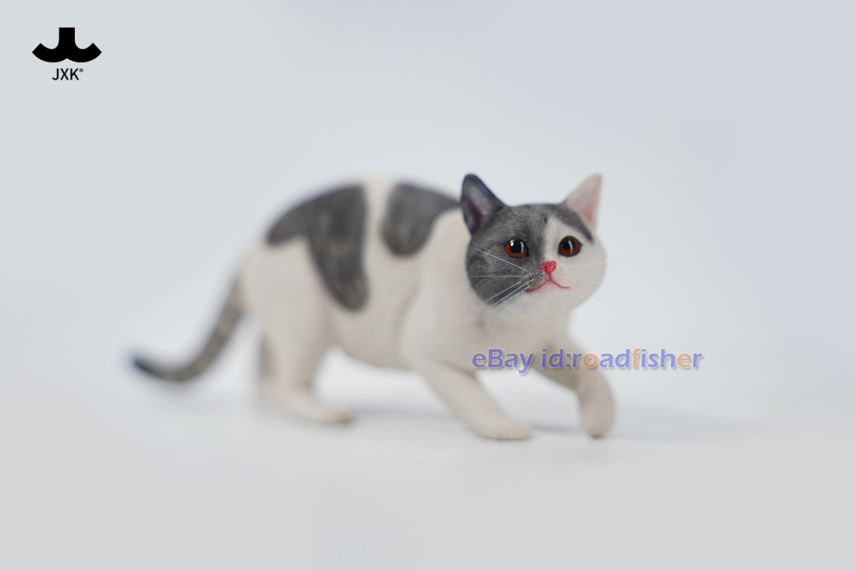 JXK 1/6 Jardín Chino Gato 3.0 Modelo Animal Figura Escena Accesorio Decoración Juguetes - Imagen 42 de 66