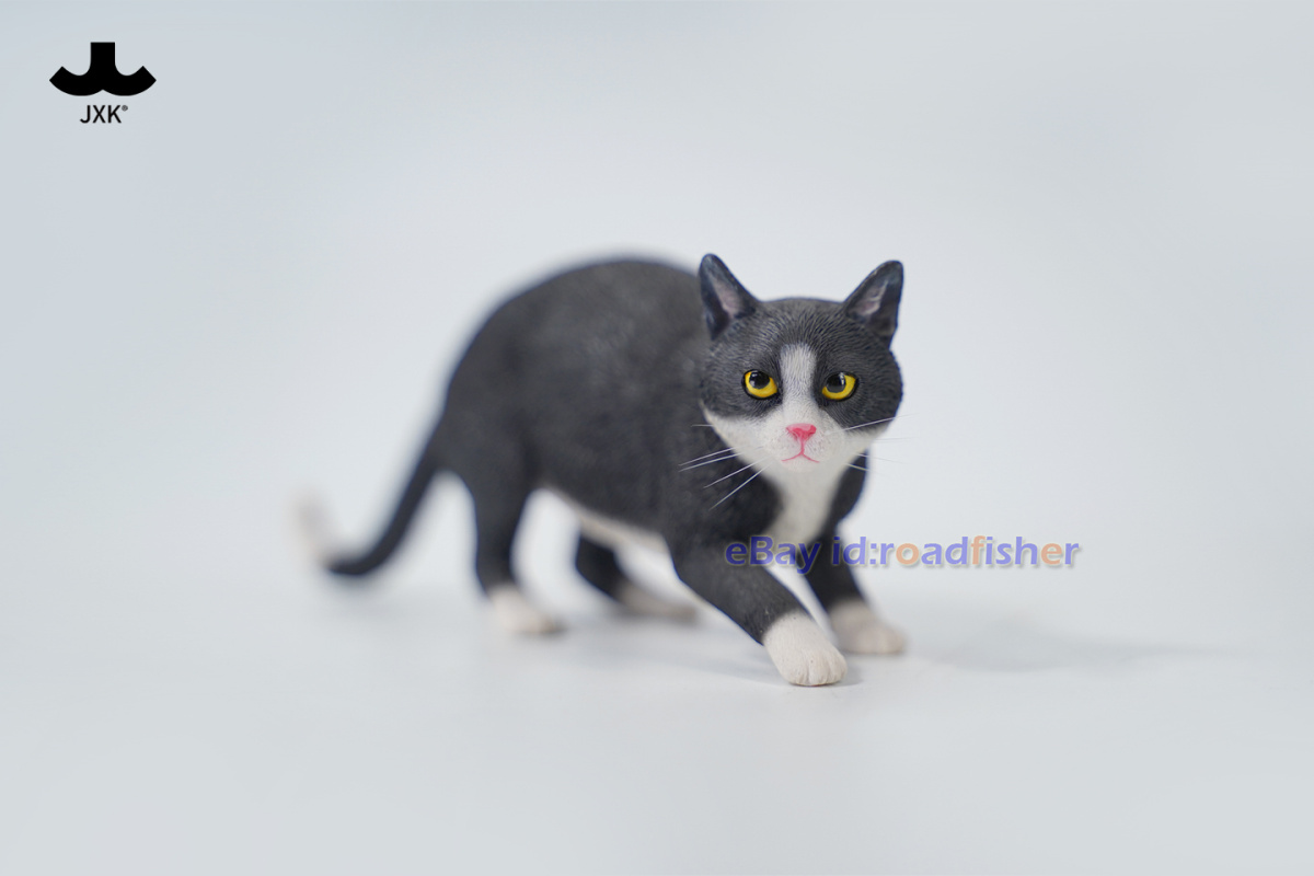 JXK 1/6 Jardín Chino Gato 3.0 Modelo Animal Figura Escena Accesorio Decoración Juguetes - Imagen 54 de 66