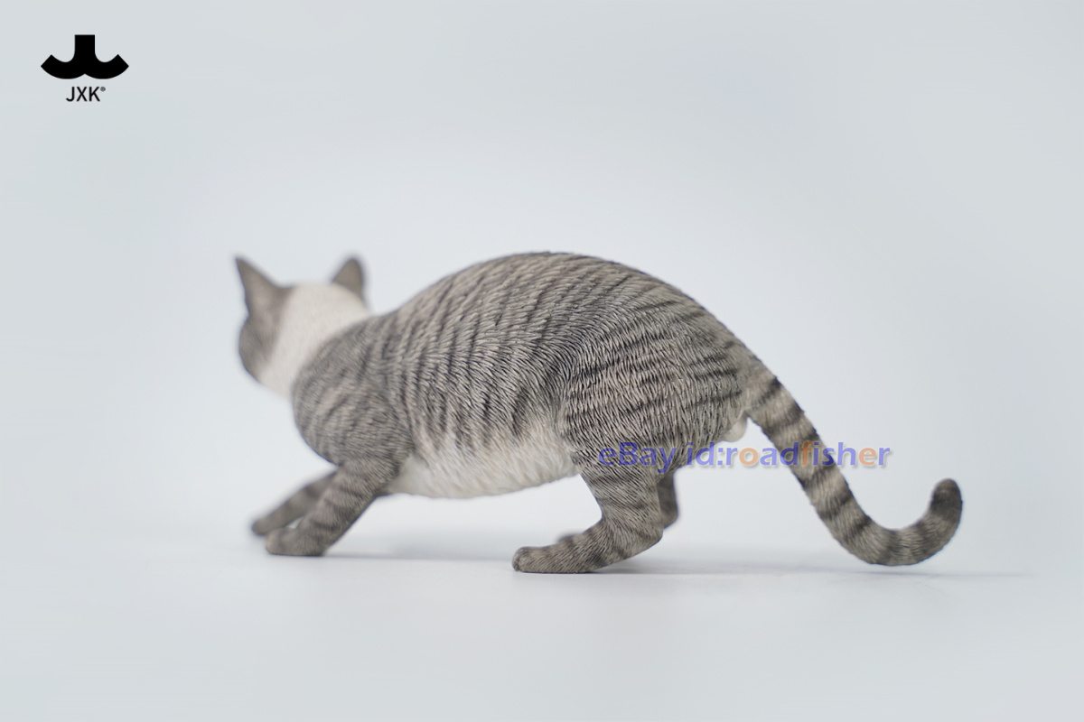 JXK 1/6 Jardín Chino Gato 3.0 Modelo Animal Figura Escena Accesorio Decoración Juguetes - Imagen 66 de 66