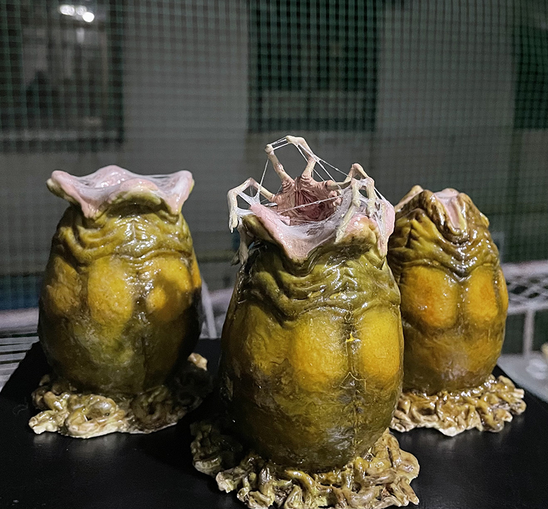 1/6 Alien VS Predator Huevo Alienígena Modelo Hecho a Mano Resina Sólida Modelo Juguetes - Imagen 14 de 14