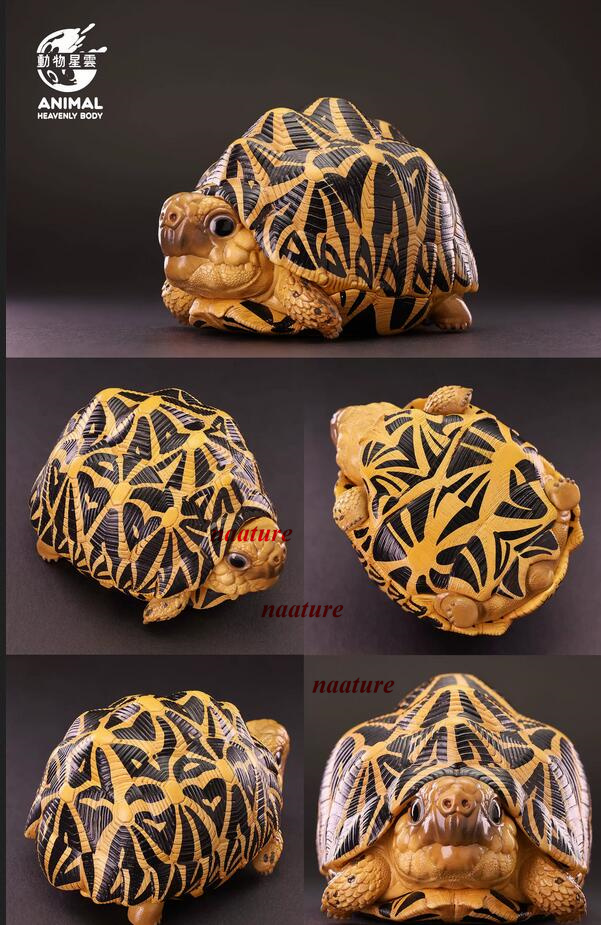 Animal Heavenly Body A Series Of Laugh And Grow Fat Turtle Resin Figurine Models