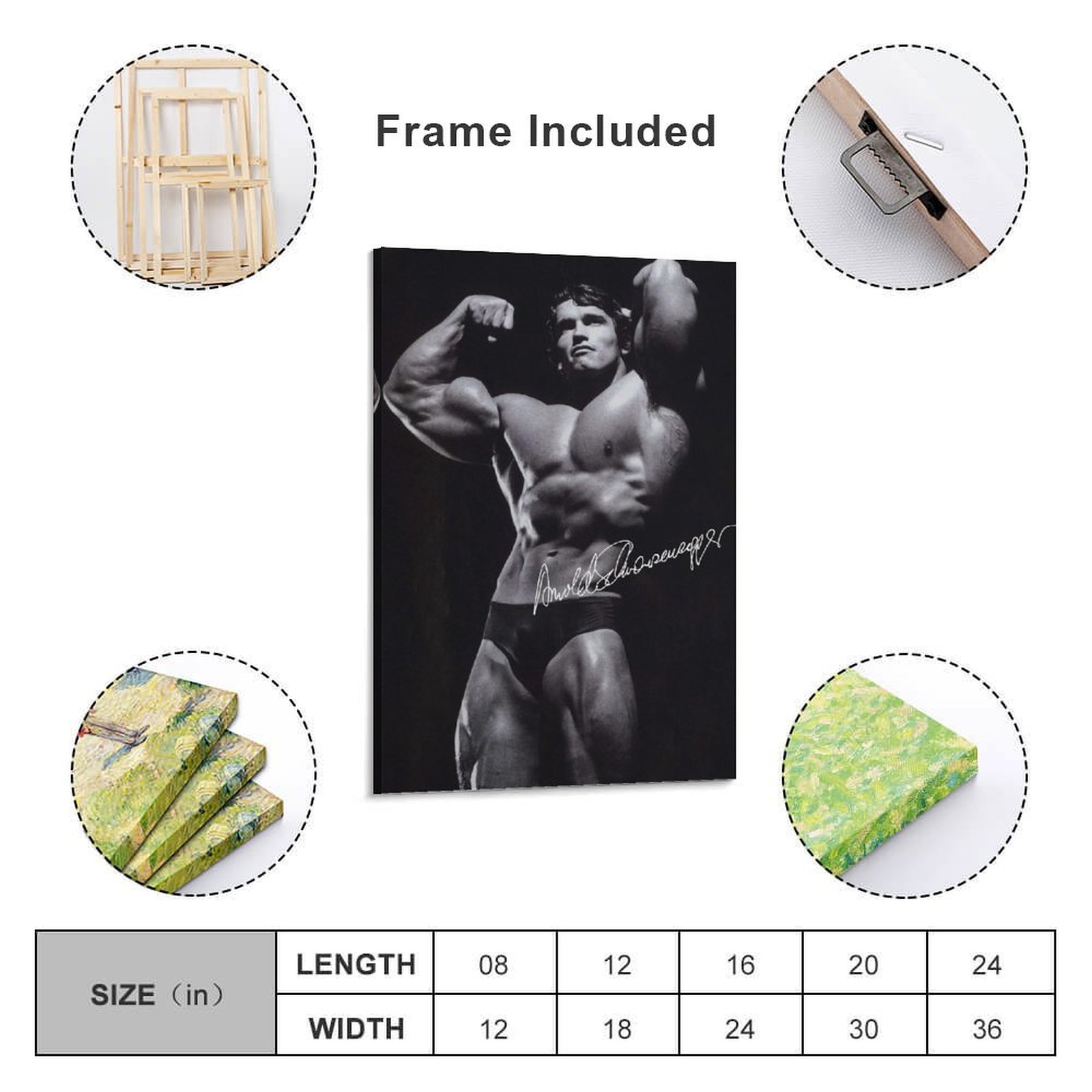 Arnold Poster Schwarzenegger bodybuilding muscle Canvas Art Wall Painting Print - Picture 12 of 12
