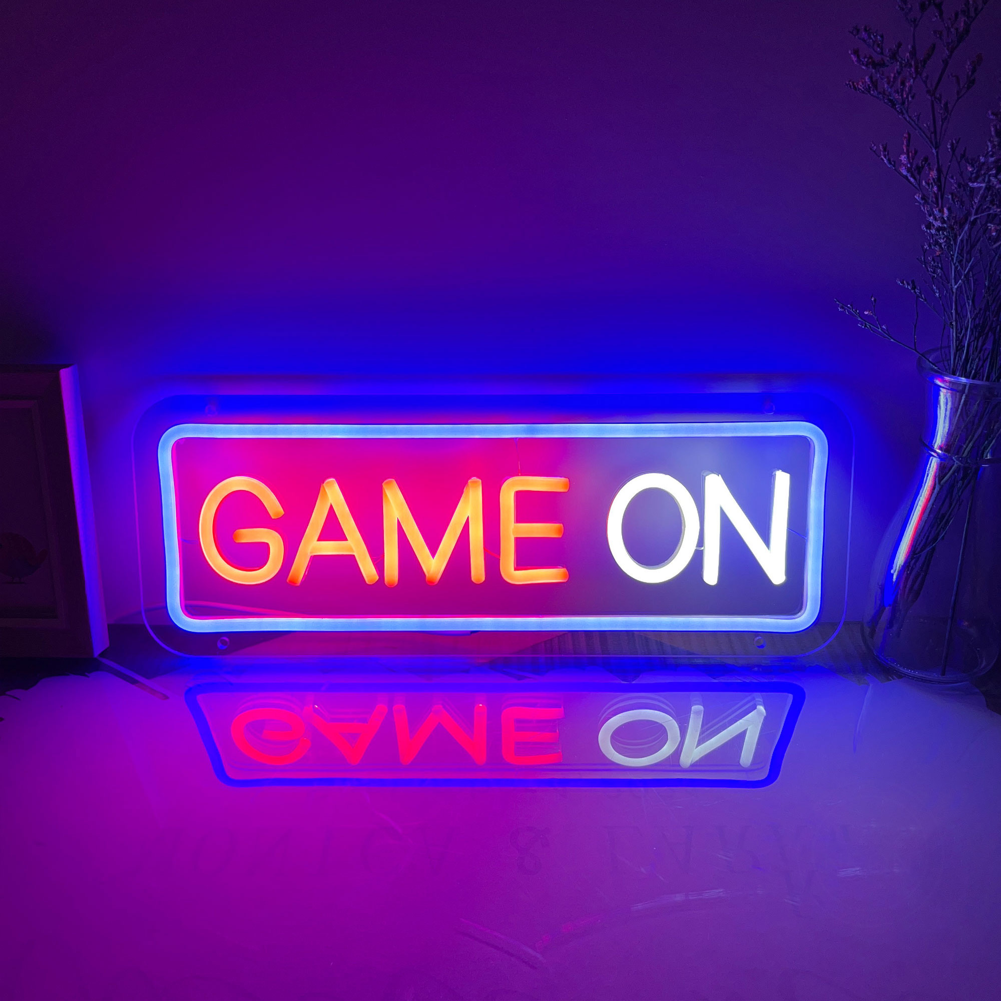 HDJSIGN Custom Neon Signs Customizable RGB