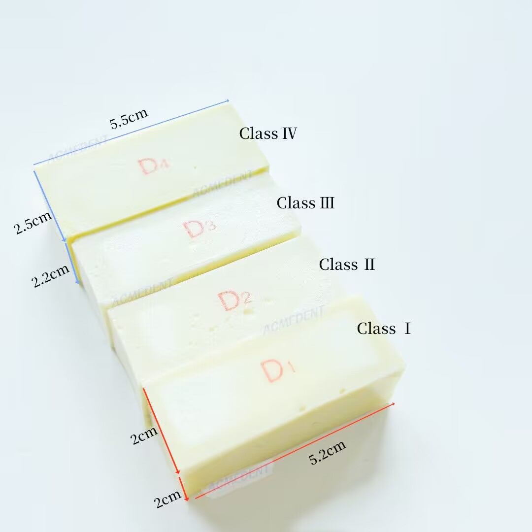 Practice Model Wood Blocks Dental Study Jaw Bone Replica GBR/Implant Use D1-D4 - Picture 9 of 10