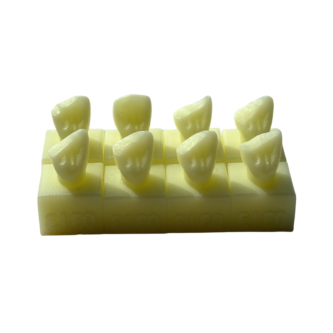 Dental Teeth Composite Resin Filling Cavity Preparation Practise Model Template - Picture 10 of 12