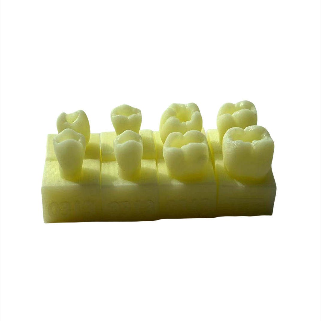 Dental Teeth Composite Resin Filling Cavity Preparation Practise Model Template - Picture 11 of 12