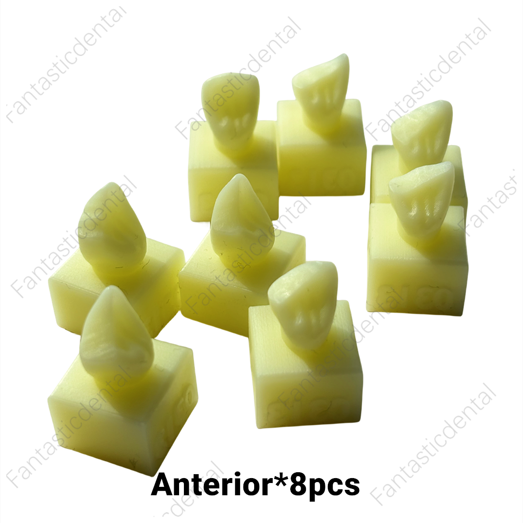 Dental Front Teeth Restoration Composite Filling Practice Teeth Model Anterior