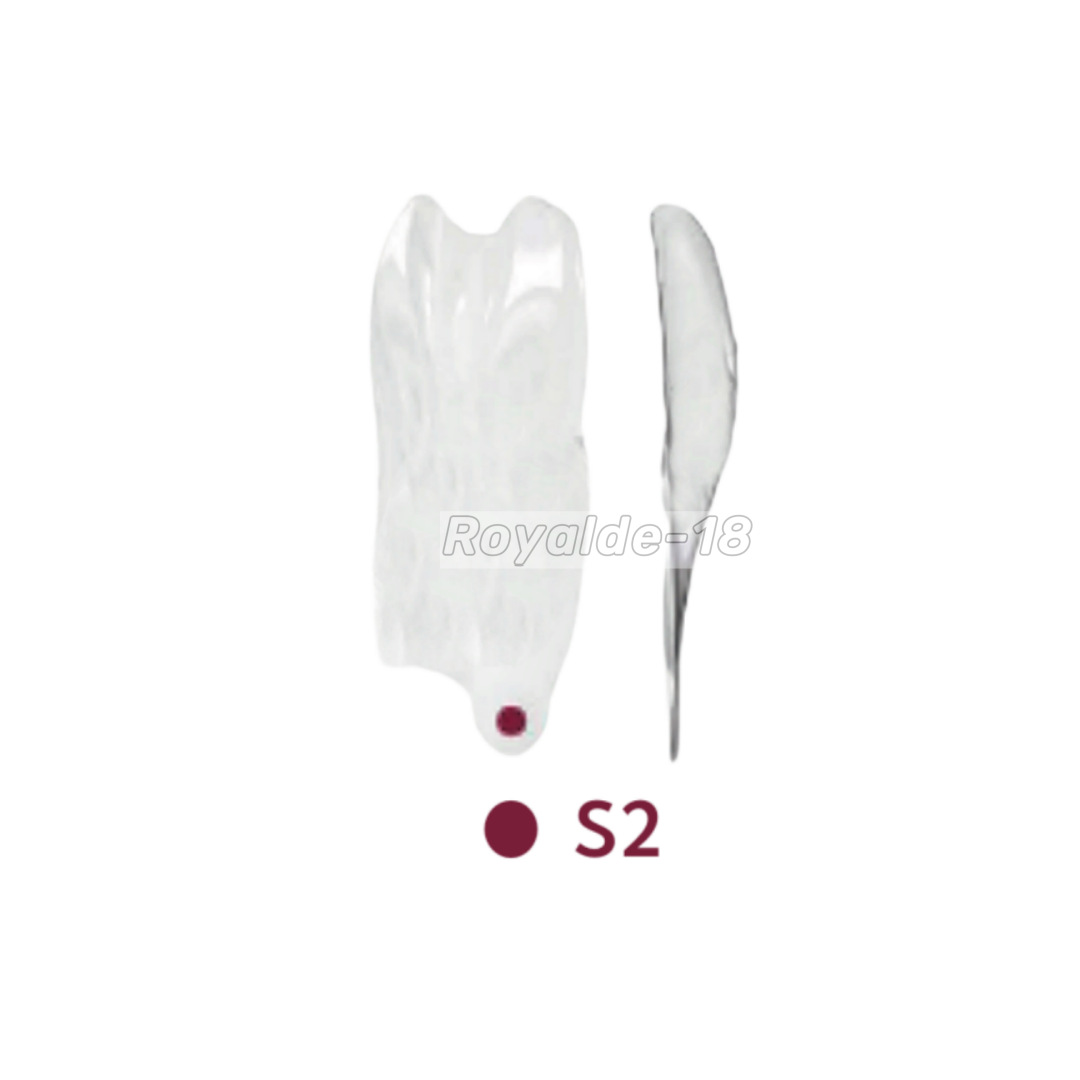Clear Matrix Dental Widening Front Tranparent BT Matrices Fits BioClear S1/2/3 - Picture 6 of 7