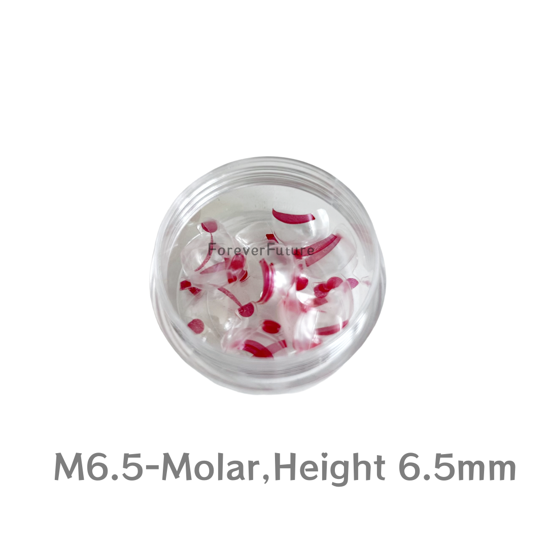 Dental Clear Matrix Vorder-/Hinterzähne Transparent Matrix Fit Bioclear BT - Bild 34 von 35