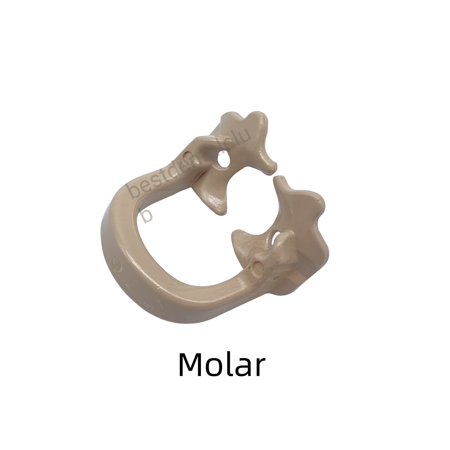 2Pieces Dental Rubber Dam Clamps Clip Barrier Resin Premolar Sheets Clamp Ring