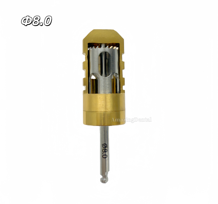 Dental Drill Harvest Half Month Collector Slice Incremental φ8/9/10mm