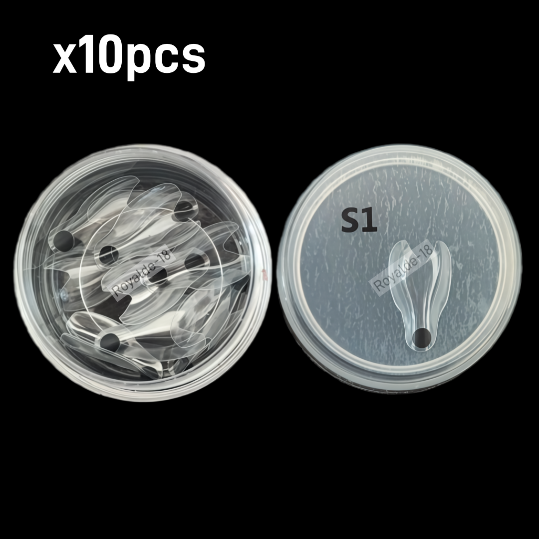 Dental Clear Matrix Anterior Posterior Fits Bioclear BT Matrices Restoration