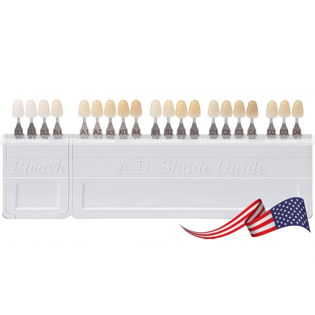USA Dental Teeth Shade Guide Porcelain 20 Color A-D Tooth 4 Bleach Vivadent
