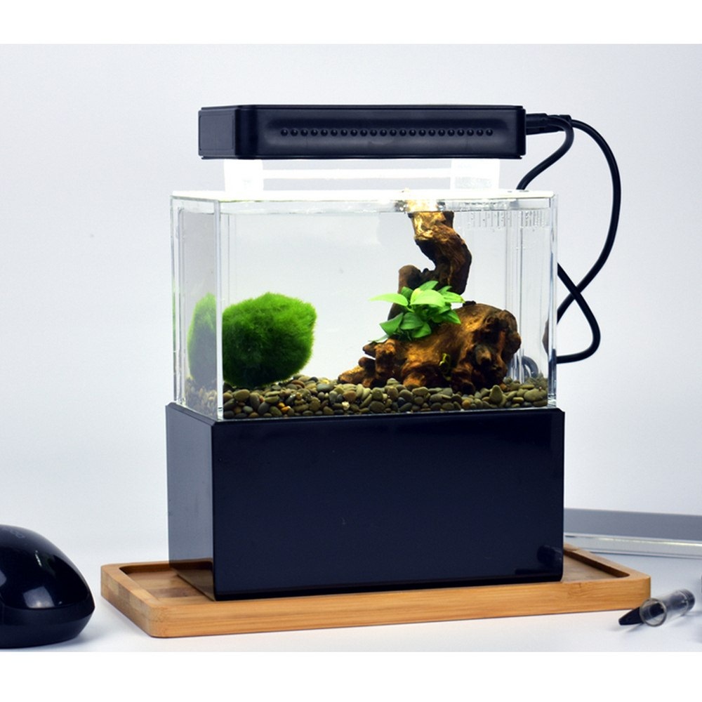 1L Aquarium Kit Bedroom Desktop Betta Fish Tank w/LED Light Pump & Filter Quiet - Picture 13 of 14