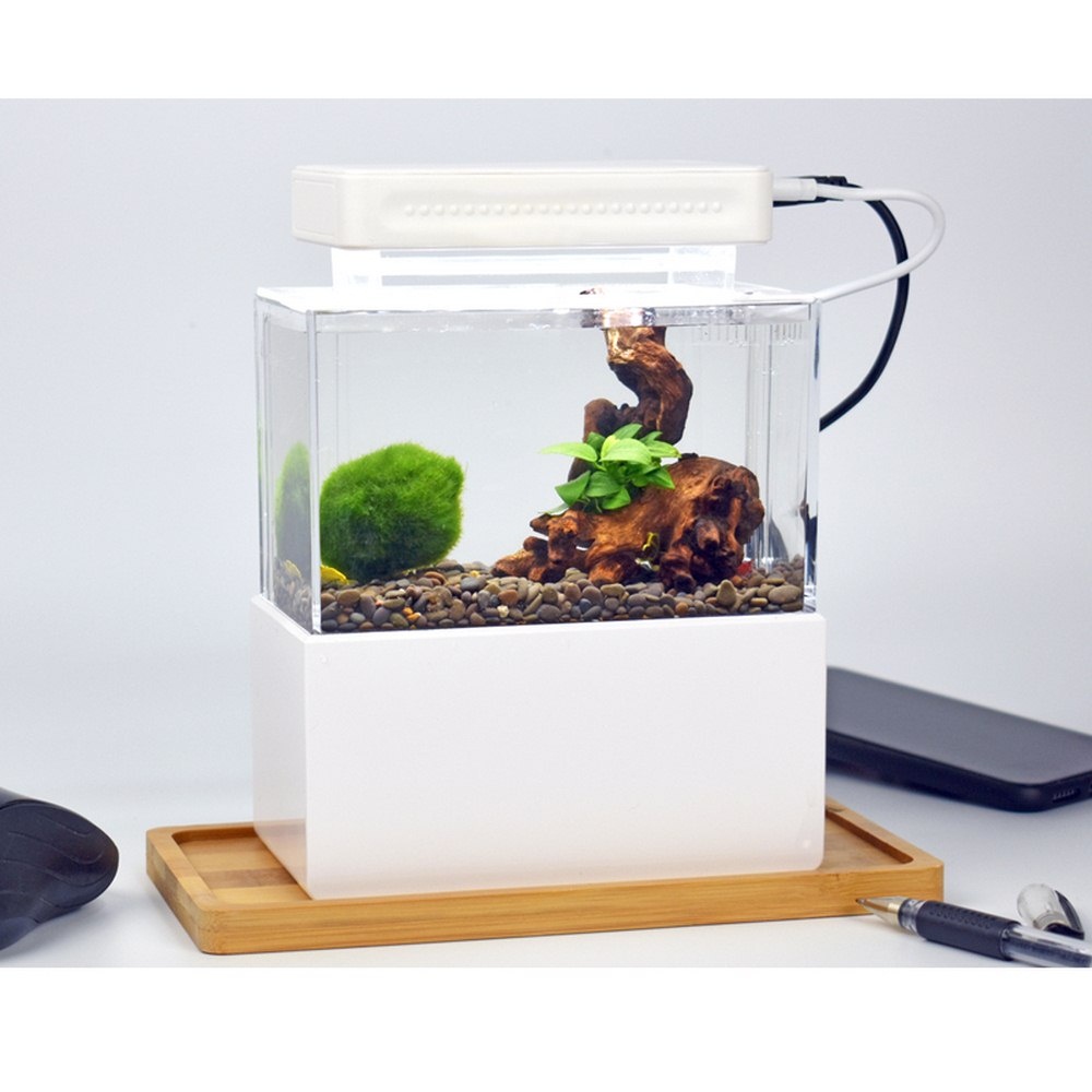 1L Aquarium Kit Bedroom Desktop Betta Fish Tank w/LED Light Pump & Filter Quiet - Picture 14 of 14