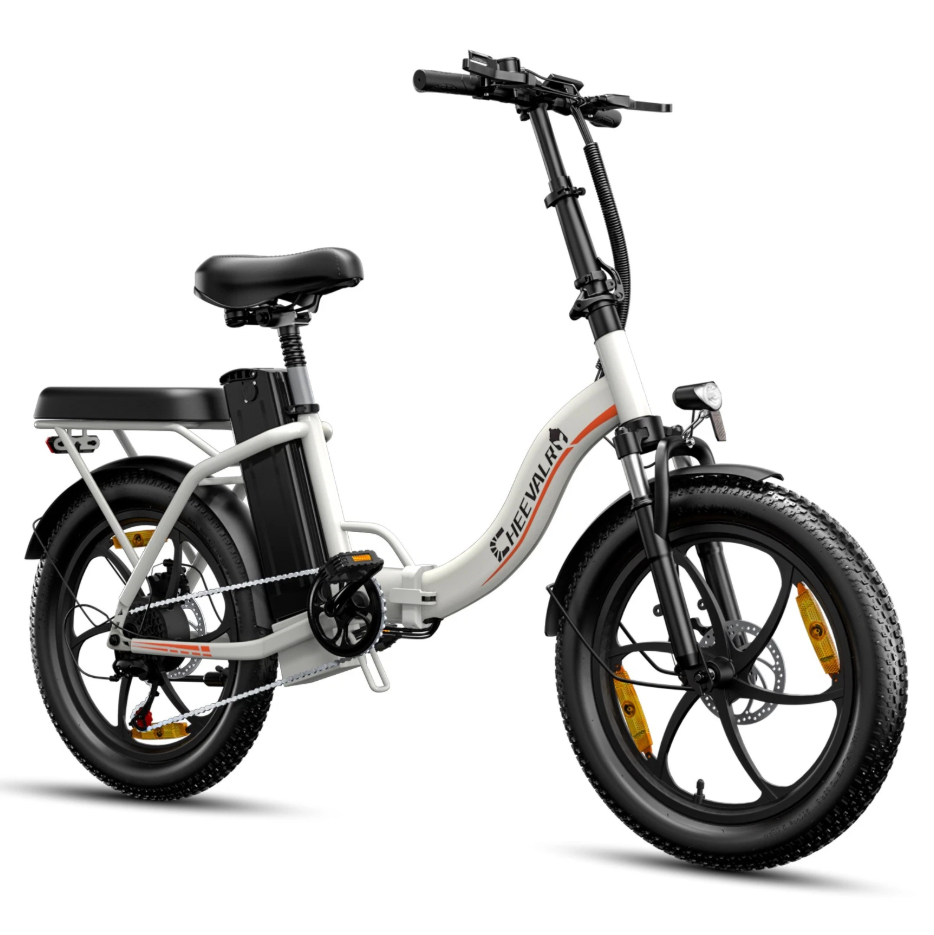 Bicicleta eléctrica Cheevalry hombre/mujer 20 pulgadas 48V 16AH City E-Bike 250W 100---km - Imagen 19 de 24