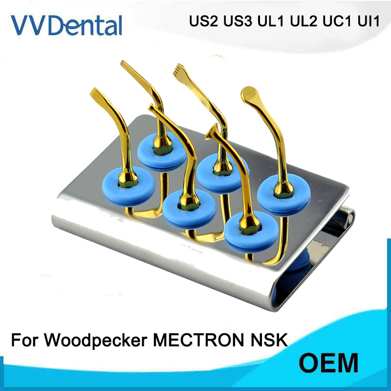 Dental Bone Surgery Tip Set Piezosurgery Tips with 6-holes Holder fit WOODPECKER