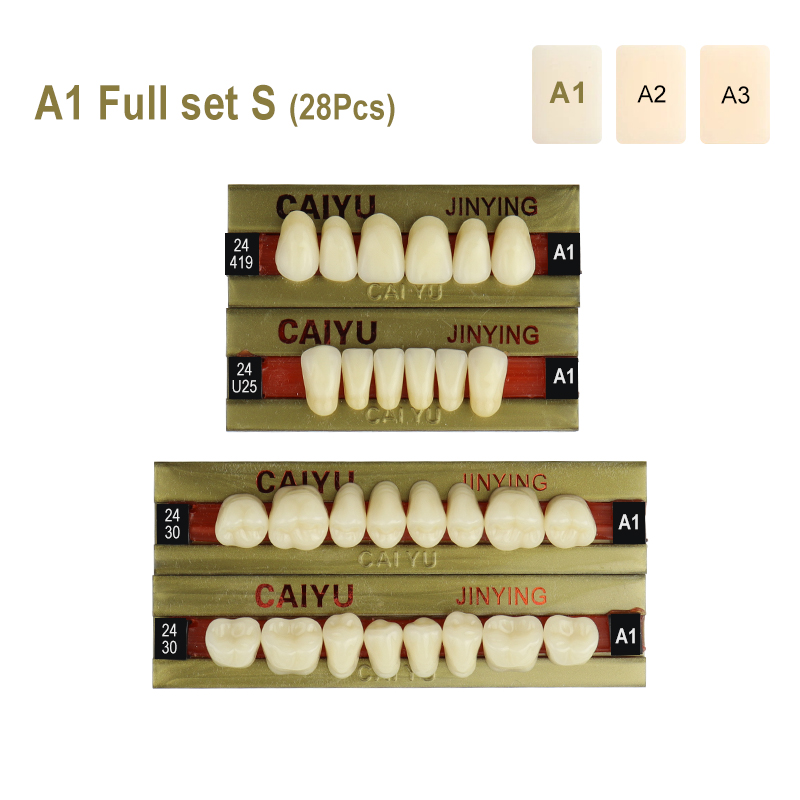 28Pcs/Set A1 A2 A3 Shade Dental Full Mouth 4-Layer Synthetic Resin Teeth Denture
