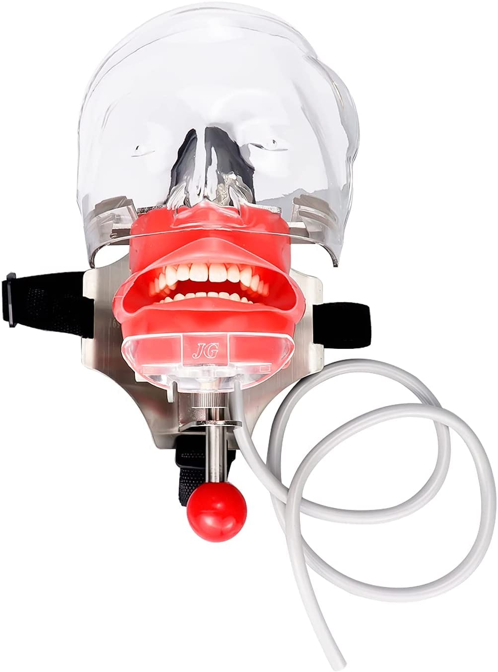 Mouth Simulator Phantom Head Teaching Model Replaceable Typodont Tooth Model