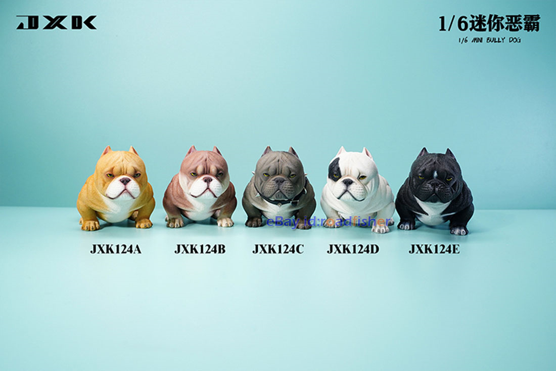 JXK 1/6 Mini Bully Dog Model Animal American Bully Pitbull