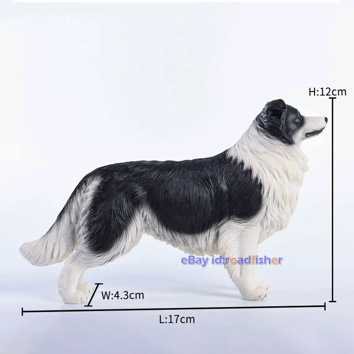 JXK 1/6 Border Collie Borderllie Dog Figure Animal Model Collector