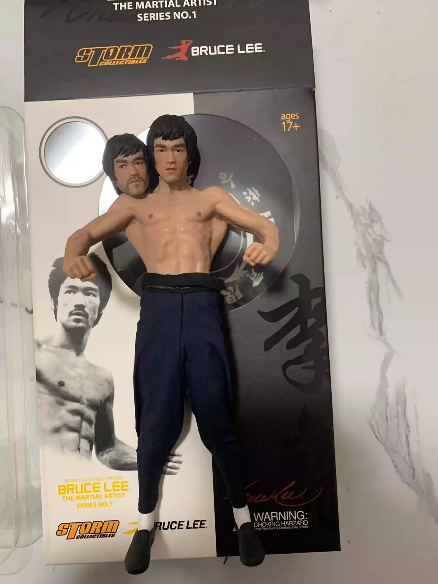 2016 Storm Toys 1/12 THE MARTIAL ARTIST 6″ Figures SERIES NO.1