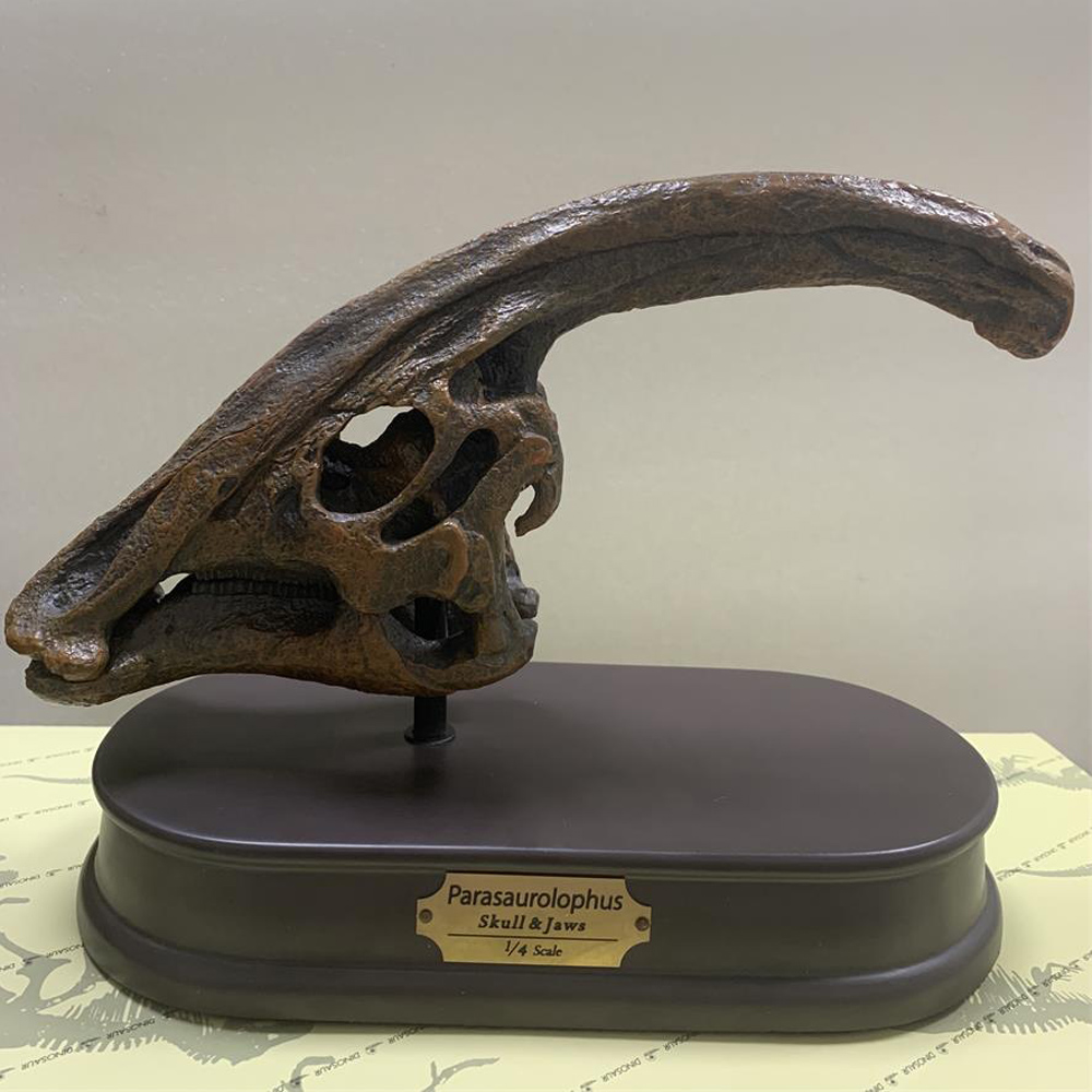 Parasaurolophus Skull & Jaws Dinosaur Statue Resin Model 
