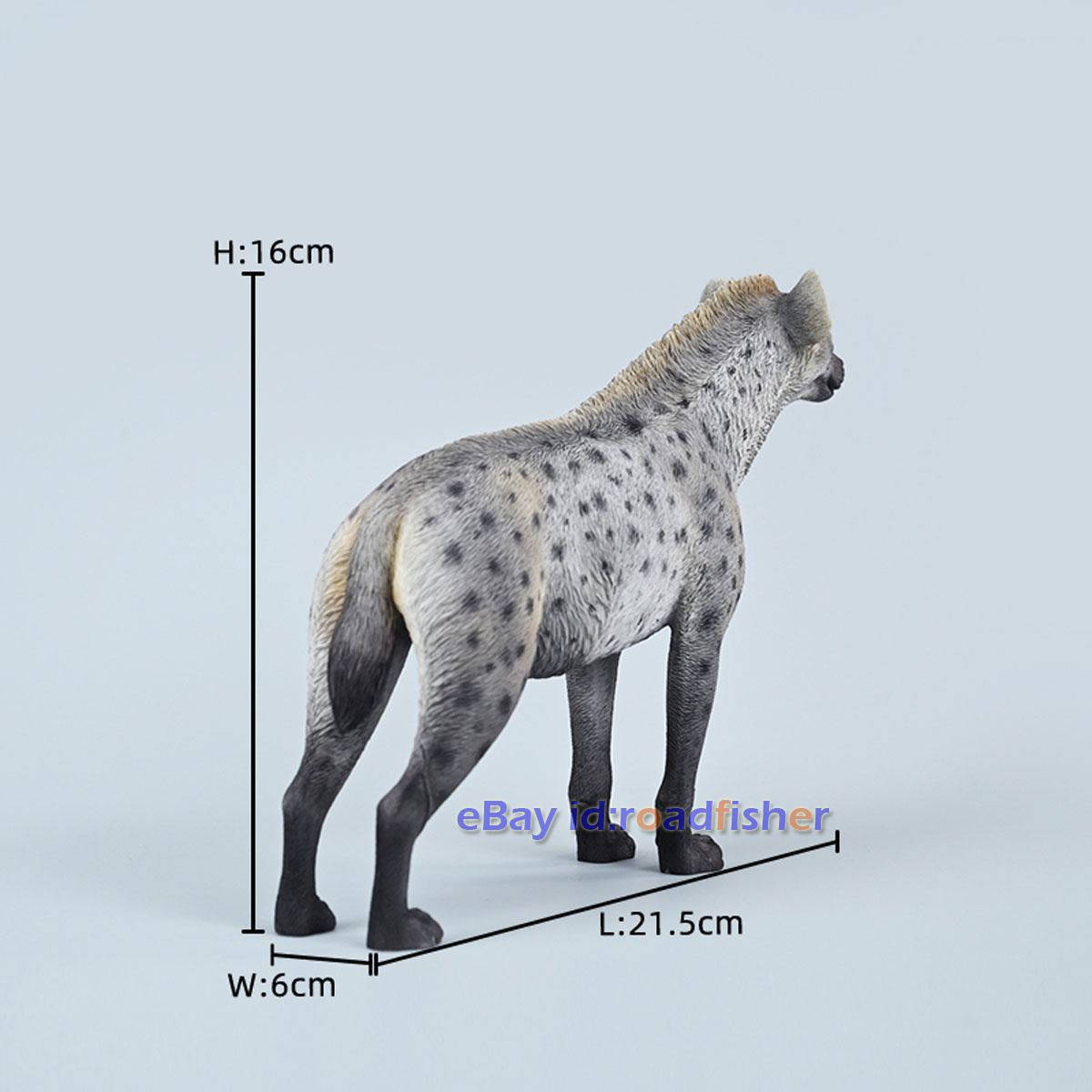 JXK 1/6 African Hyena Model Animal Hyaenidae Figure Scene Decor