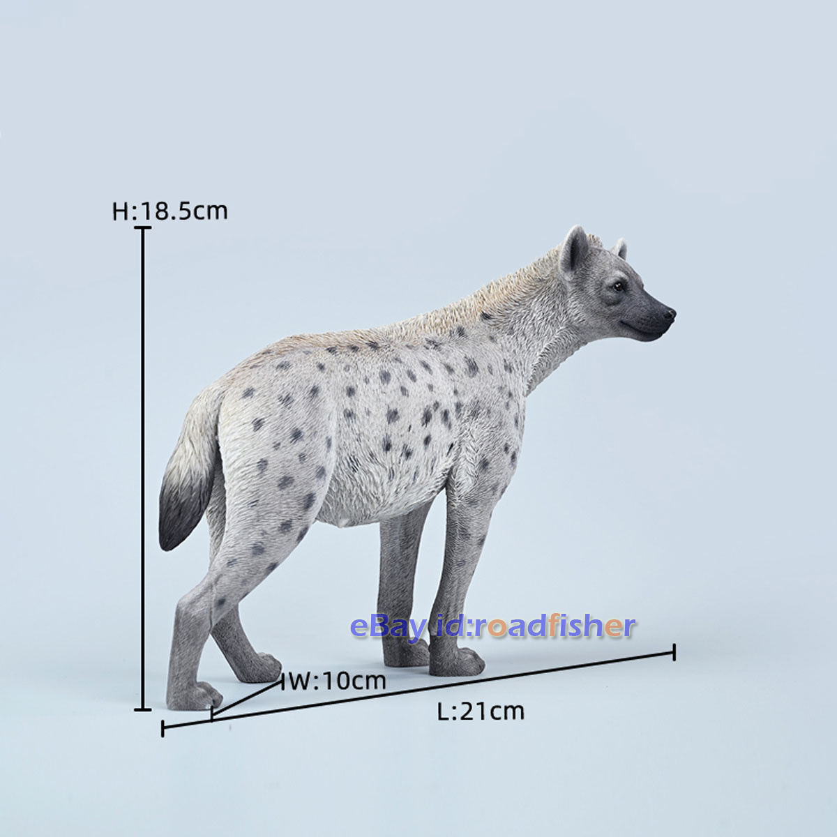 JXK 1/6 African Hyena Model Animal Hyaenidae Figure Scene Decor