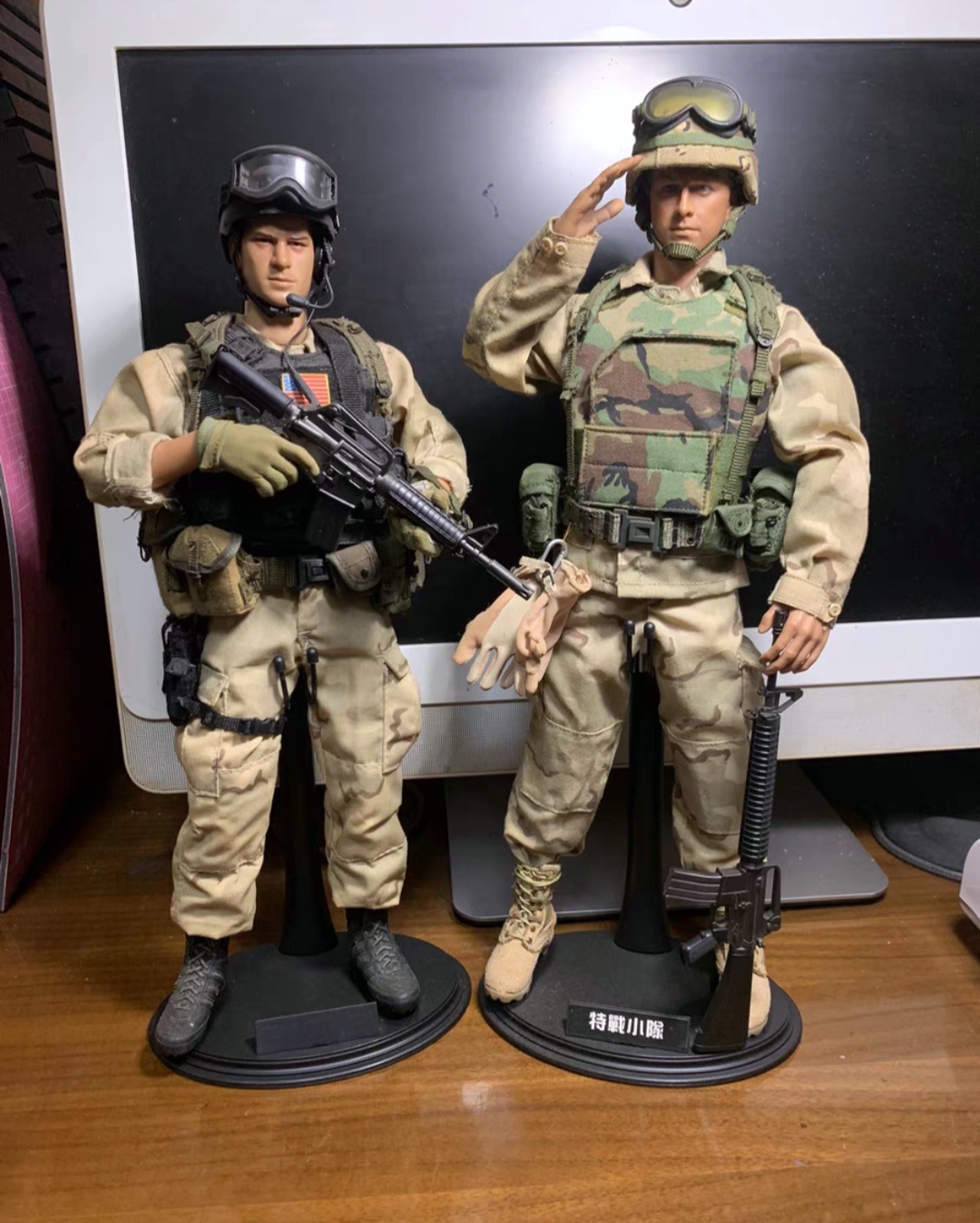 Damtoys 1/6 Black Hawk Down Delta + Ranger Action Figures