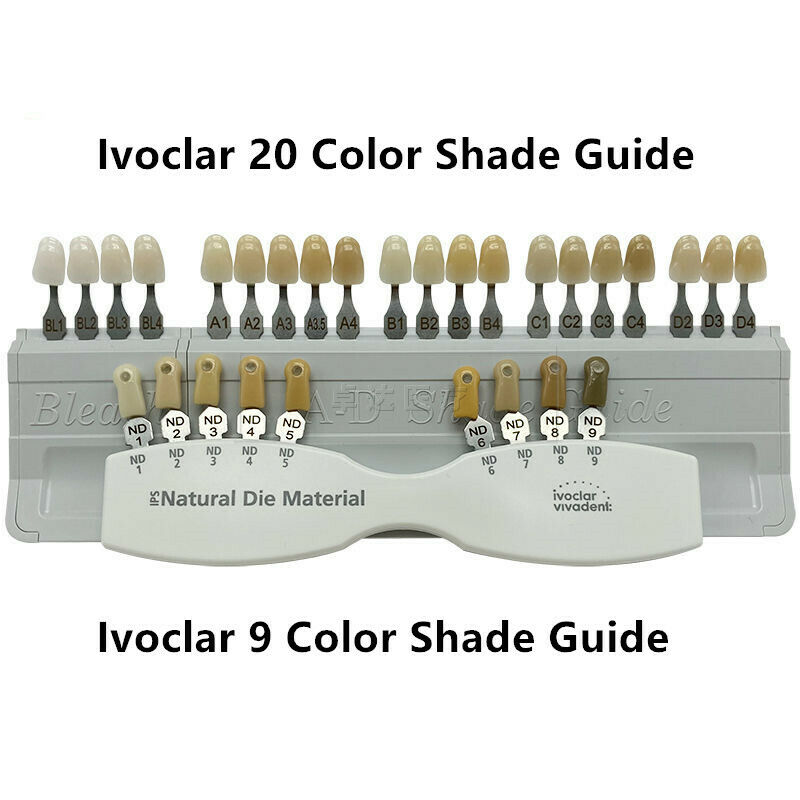 thumbnail image 2 of Ivoclar 16-Color A-D Bleached Tooth Shade Guide – Dental Model 2 of 5