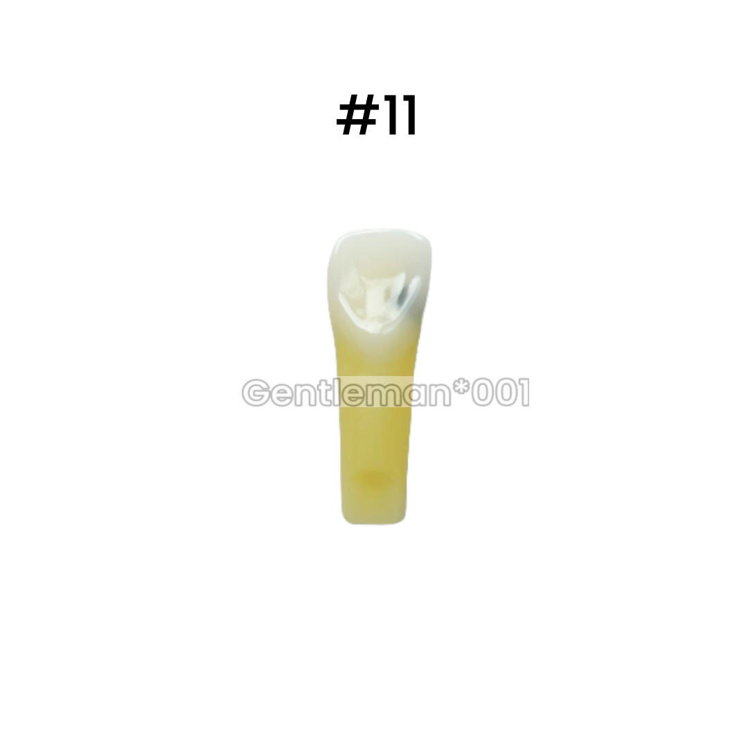Dental Caries Remove Teeth Decayed Removing Practise Model Dentist Student Test